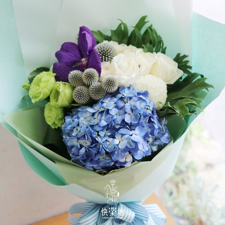 風和日麗  BF190255