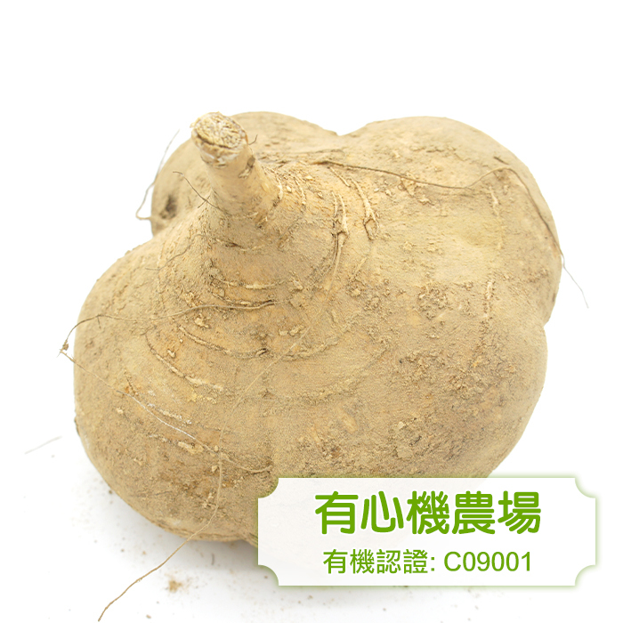 [有心機] Organic Yam Bean 有機沙葛 1磅 (453g)