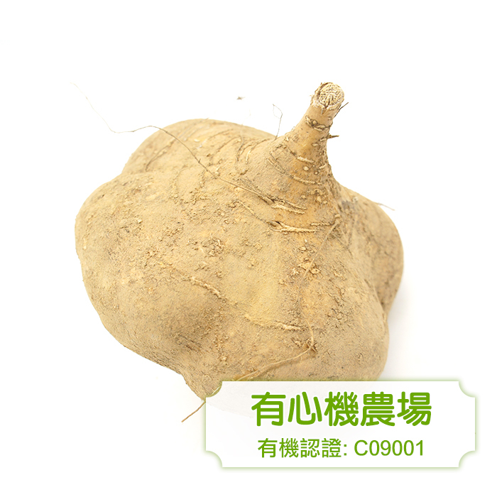 [有心機] Organic Yam Bean 有機沙葛 1磅 (453g)