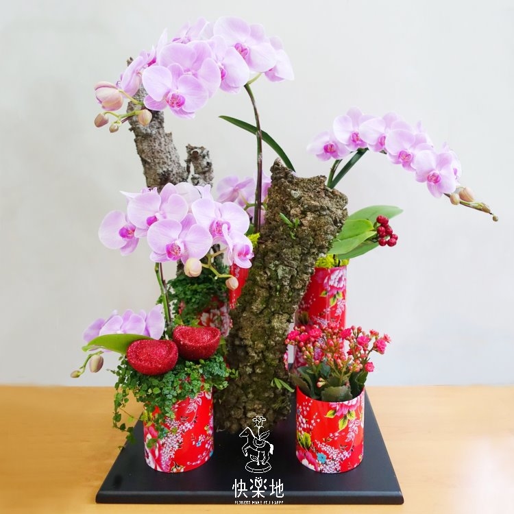 喜福會 I 蘭花盆栽   OP190502