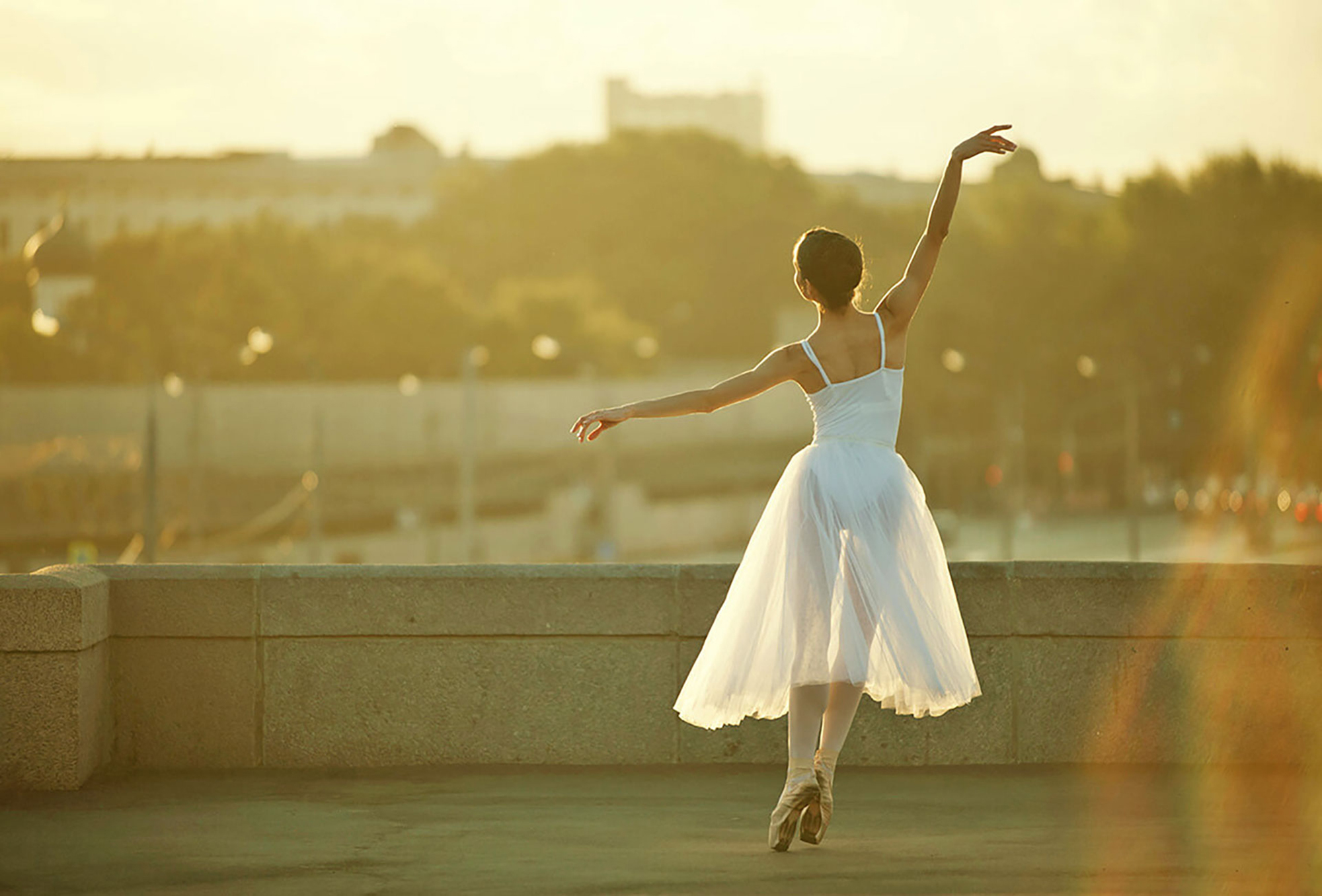 花與愛麗絲 – 花とアリス