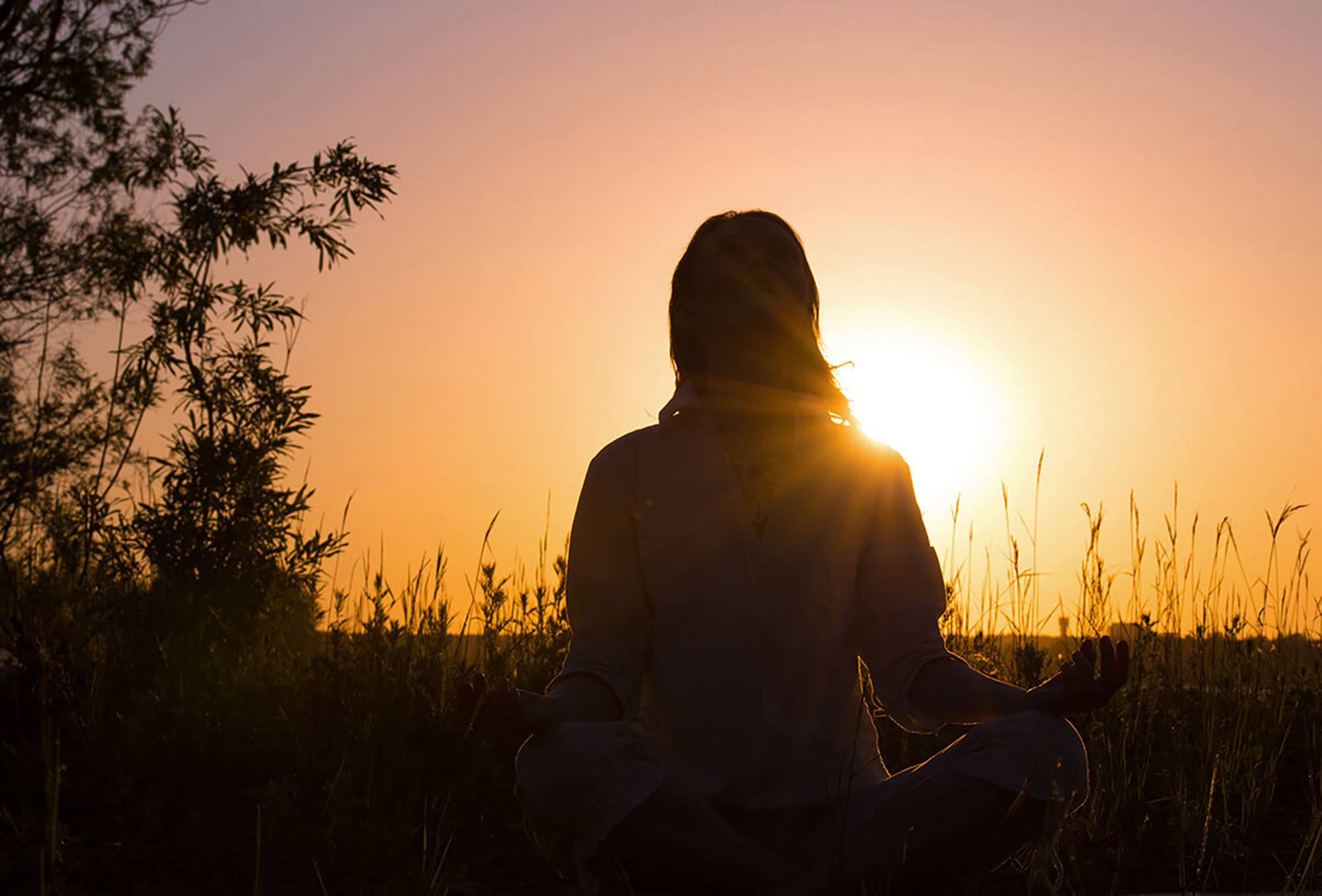 令人討厭的松子的一生 – 嫌われ松子の一生