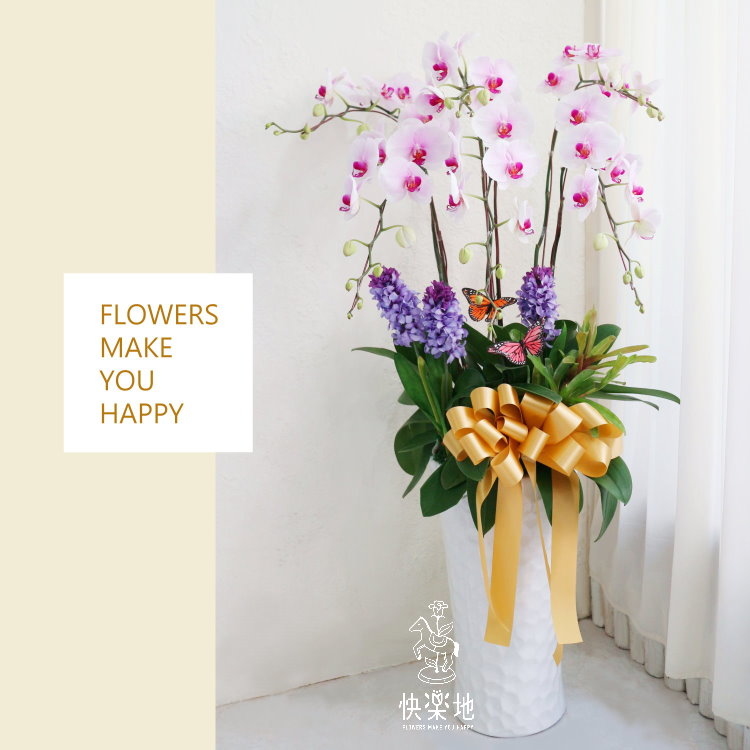 蝶舞花園  I 蘭花盆栽  OS190405