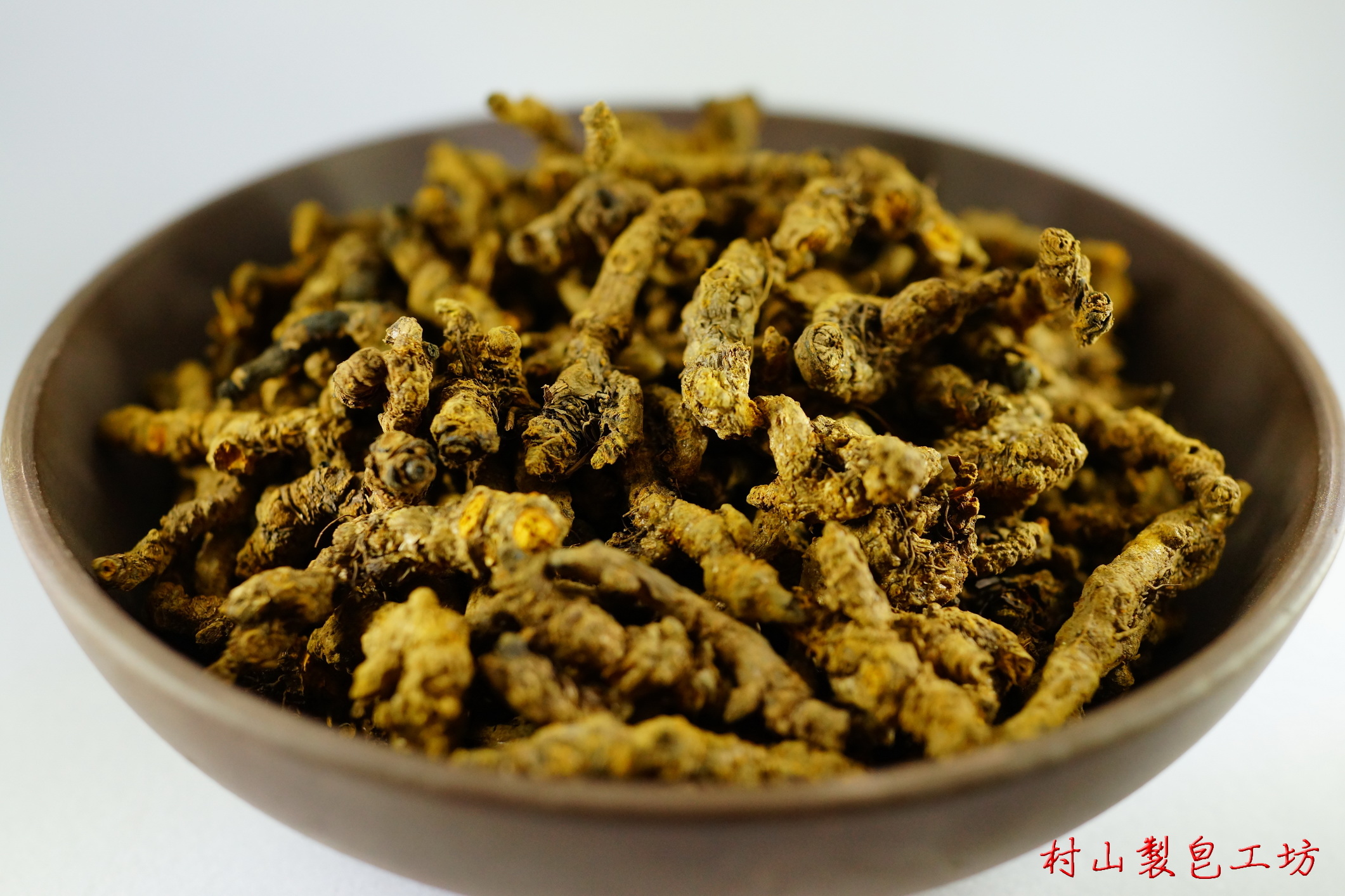 chinese-goldthread-rhizome-2