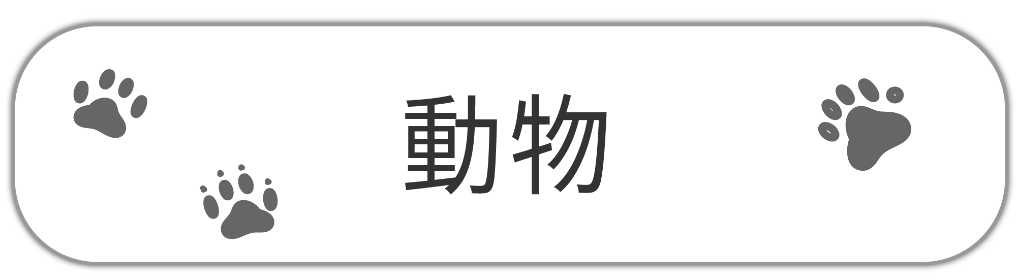動物印花