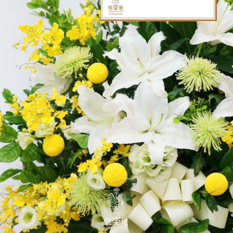 喜樂光暉 I 高架花籃  SF194301