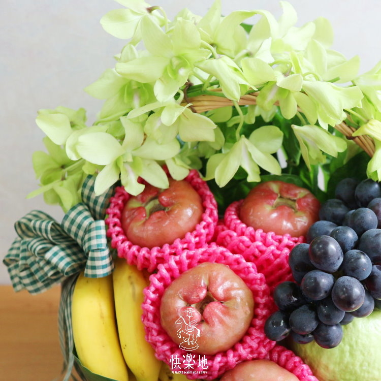 幸福提食 XF190220