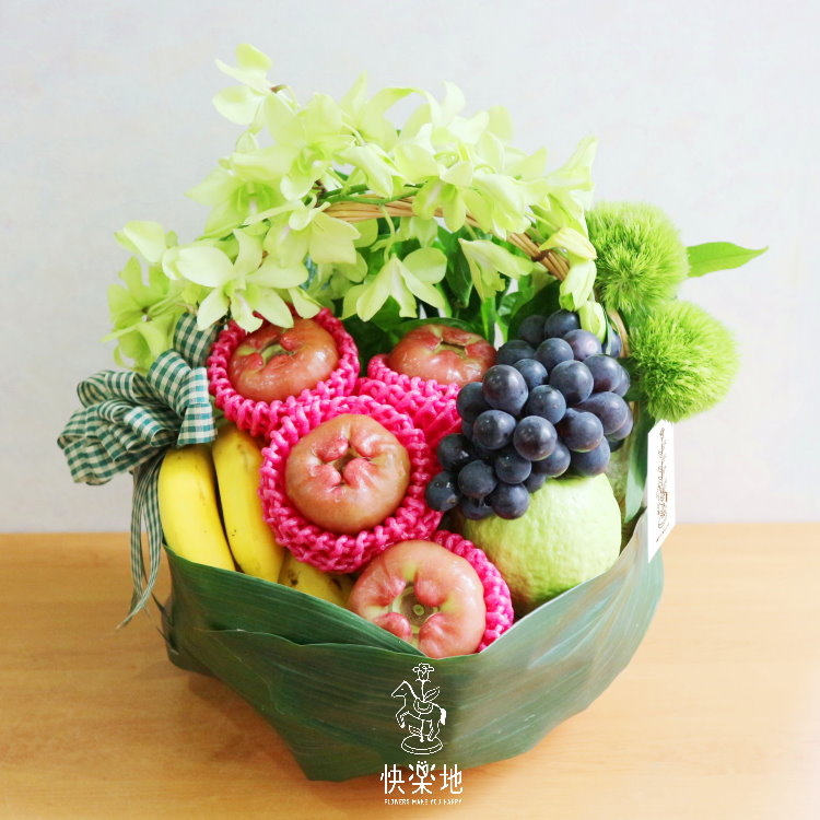 幸福提食 XF190220