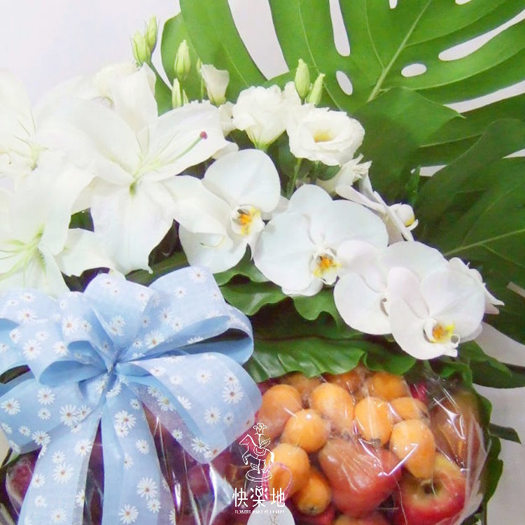 果然有禮  XF190301