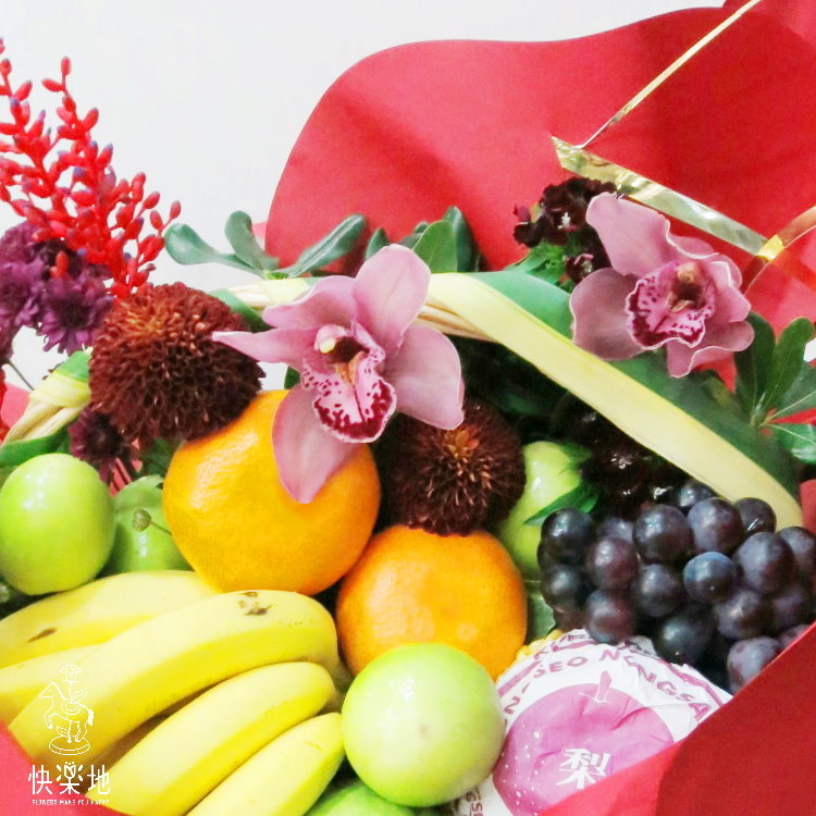 熱情祝賀  XF190256