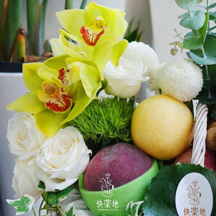 新鮮活力  XF190204