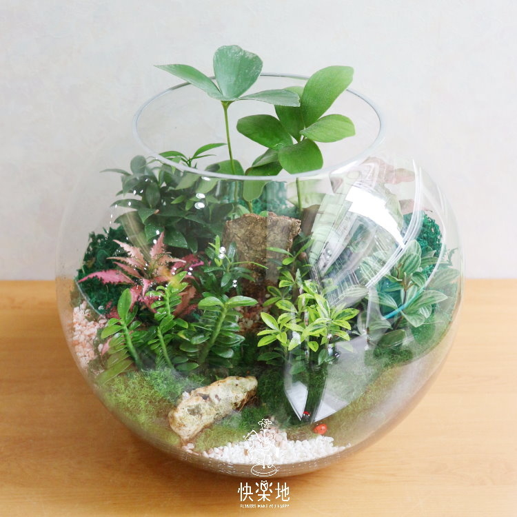 玻璃花房  GP190201