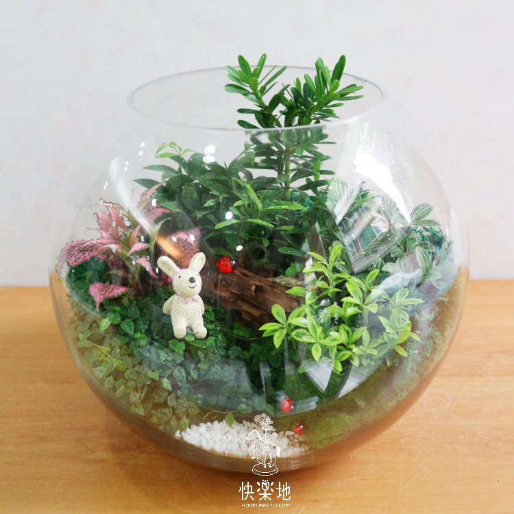 玻璃花房  GP190201