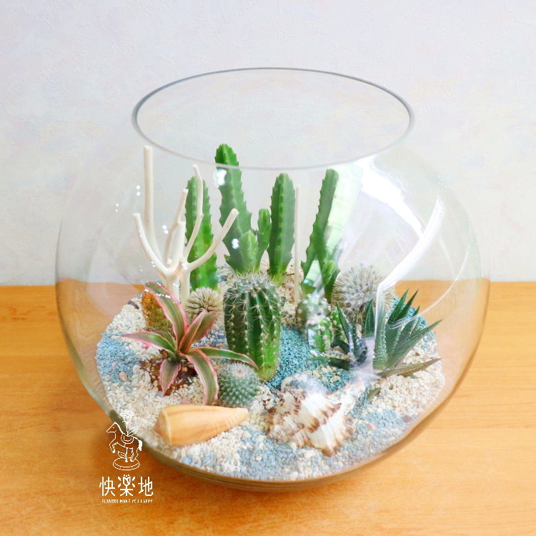 日光海洋 GP191252