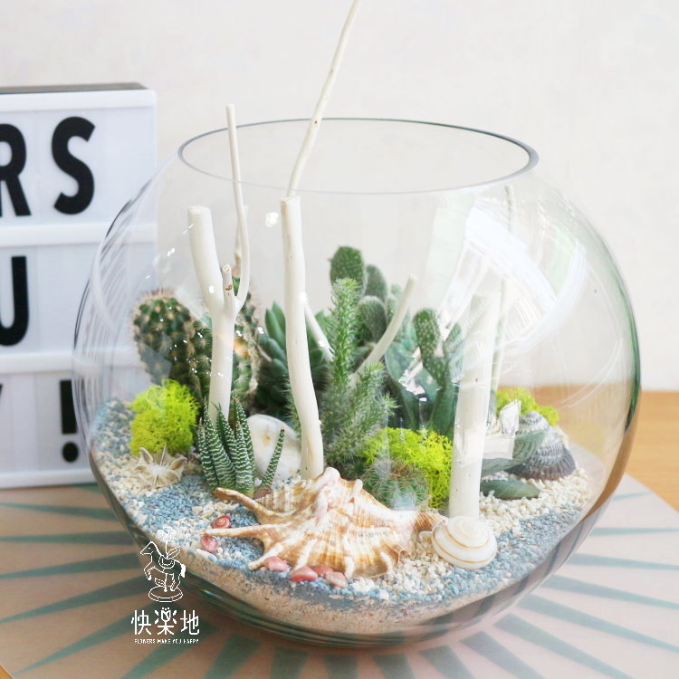 日光海洋 GP191252