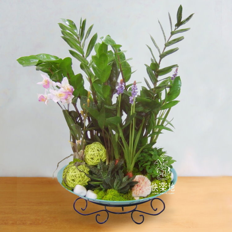 優勝美地 I 美鐵芋 GP190301