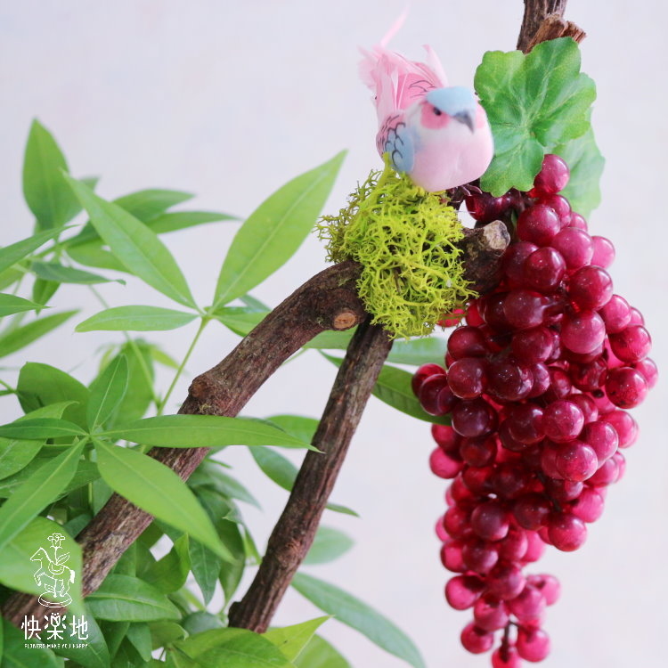 豐收高棲 I 發財樹  GP190300