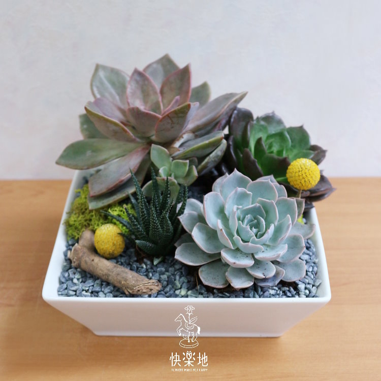 方寸之美  GP191200