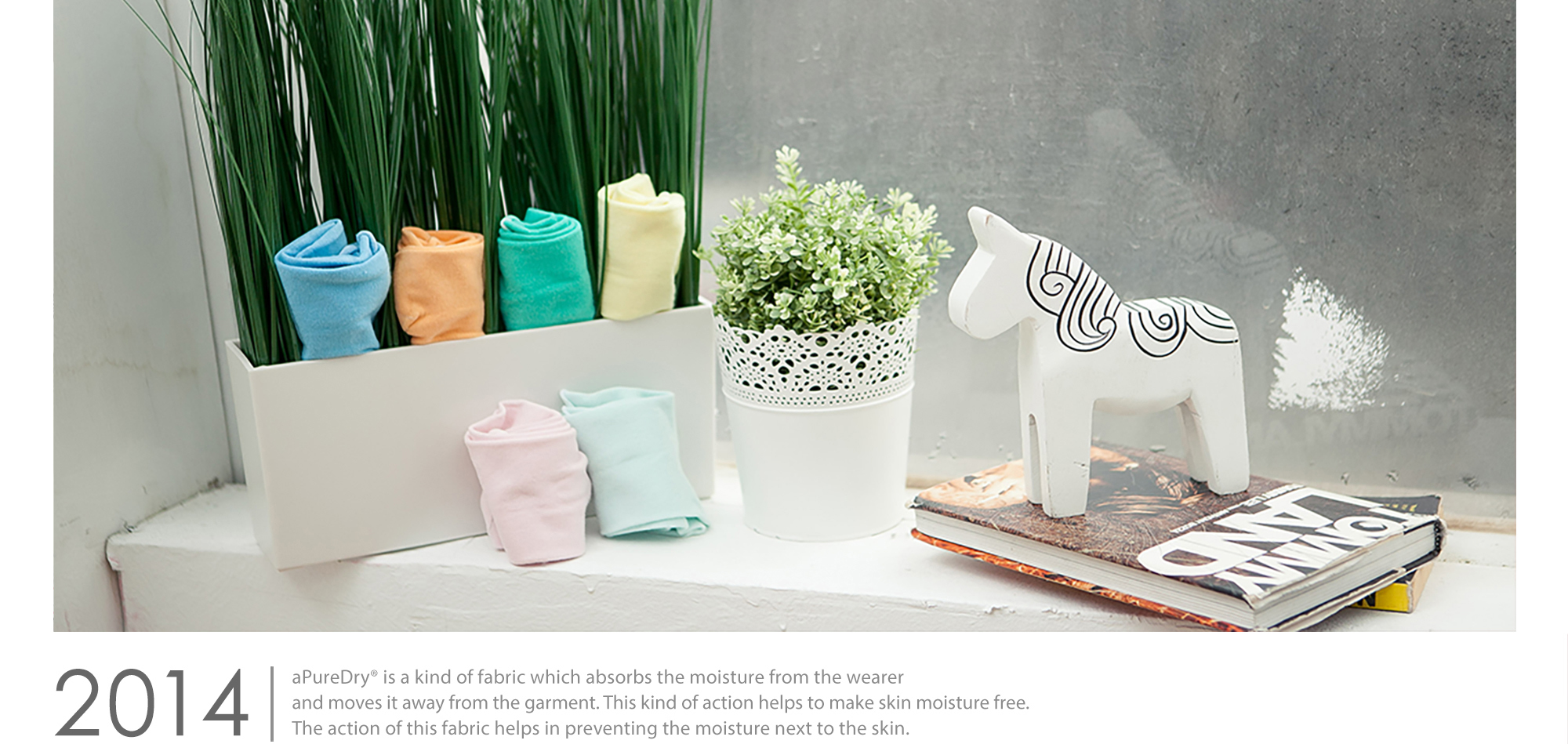 2014年除臭襪歷史，除臭襪推薦