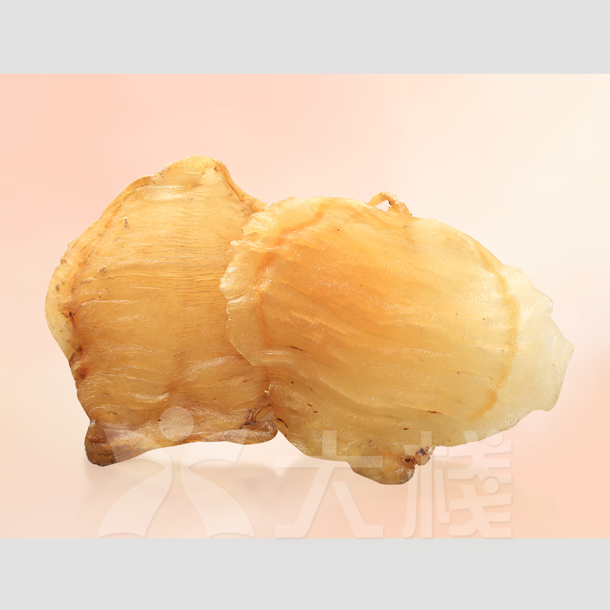 遠年生開公肚 (11-12頭) (4pcs, 200g)