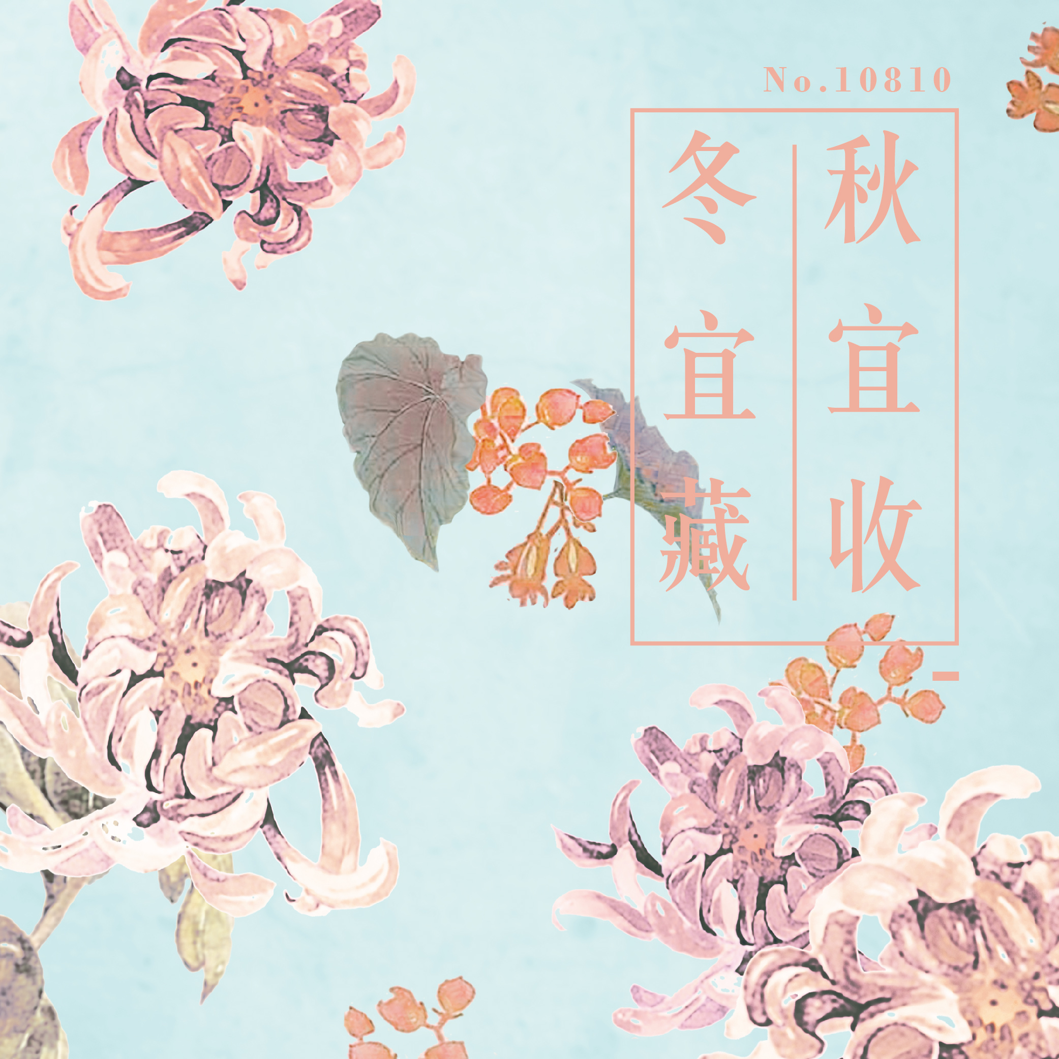 冬季暖身法-溫補腎氣-補腎穴位大全-冬季養陰-冬季首重養腎-秋宜收 冬宜藏