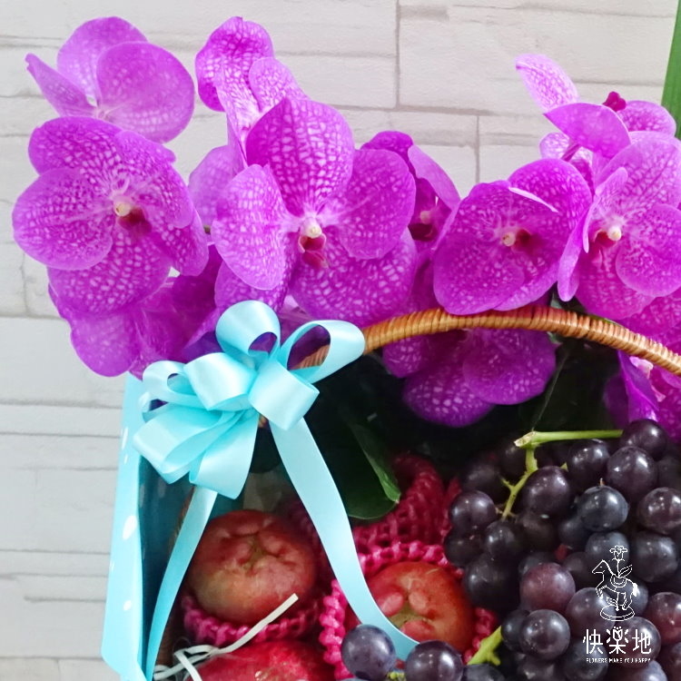 親親寶貝  XF190261