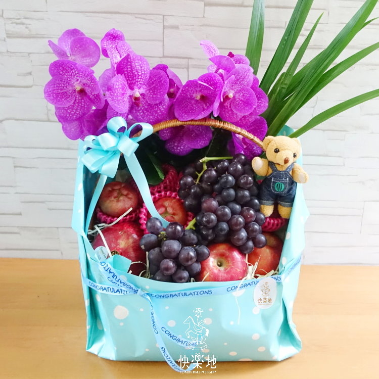 親親寶貝  XF190261