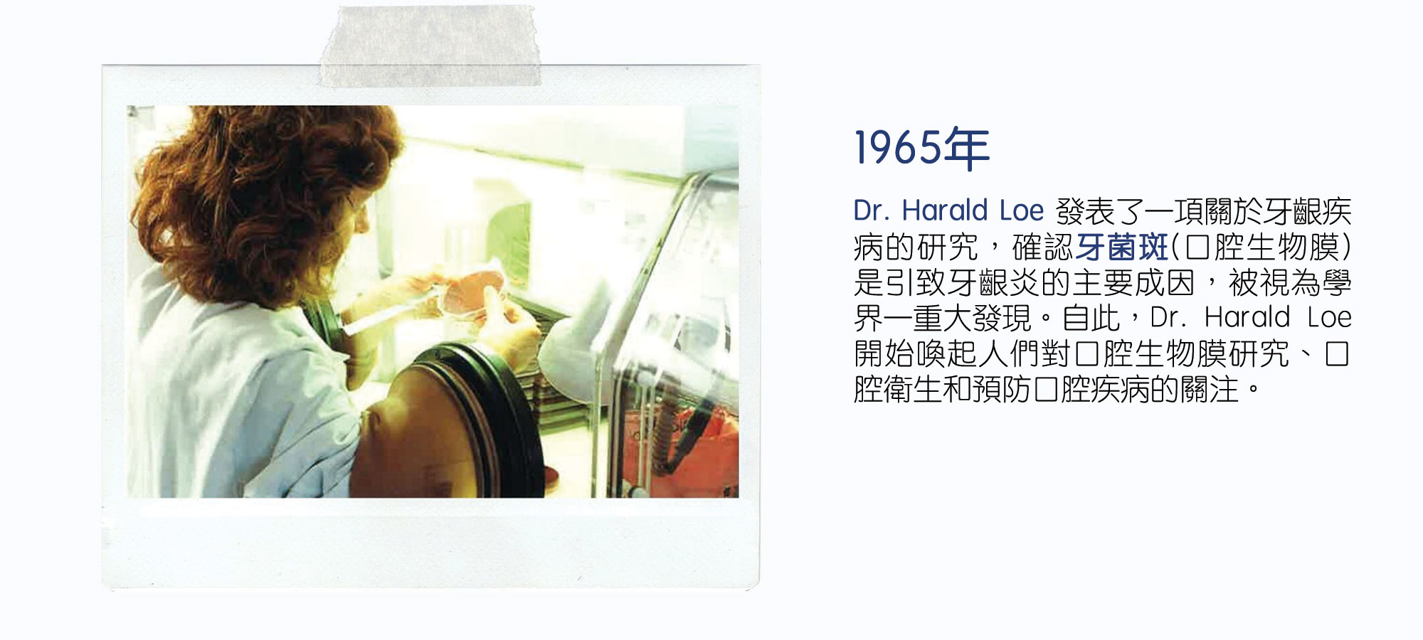 Dentaid歷史 由1965年開始