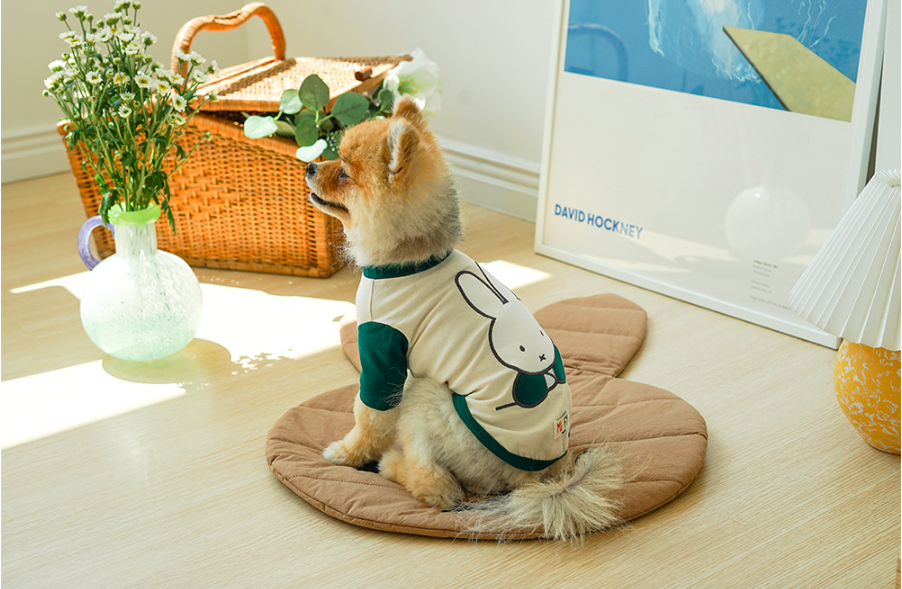 Noutti Miffy聯名拼接長袖T-Shirt（綠色）