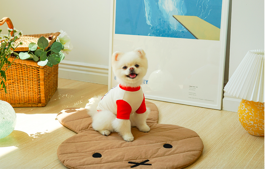 Noutti Miffy聯名拼接長袖T-Shirt（橘色）