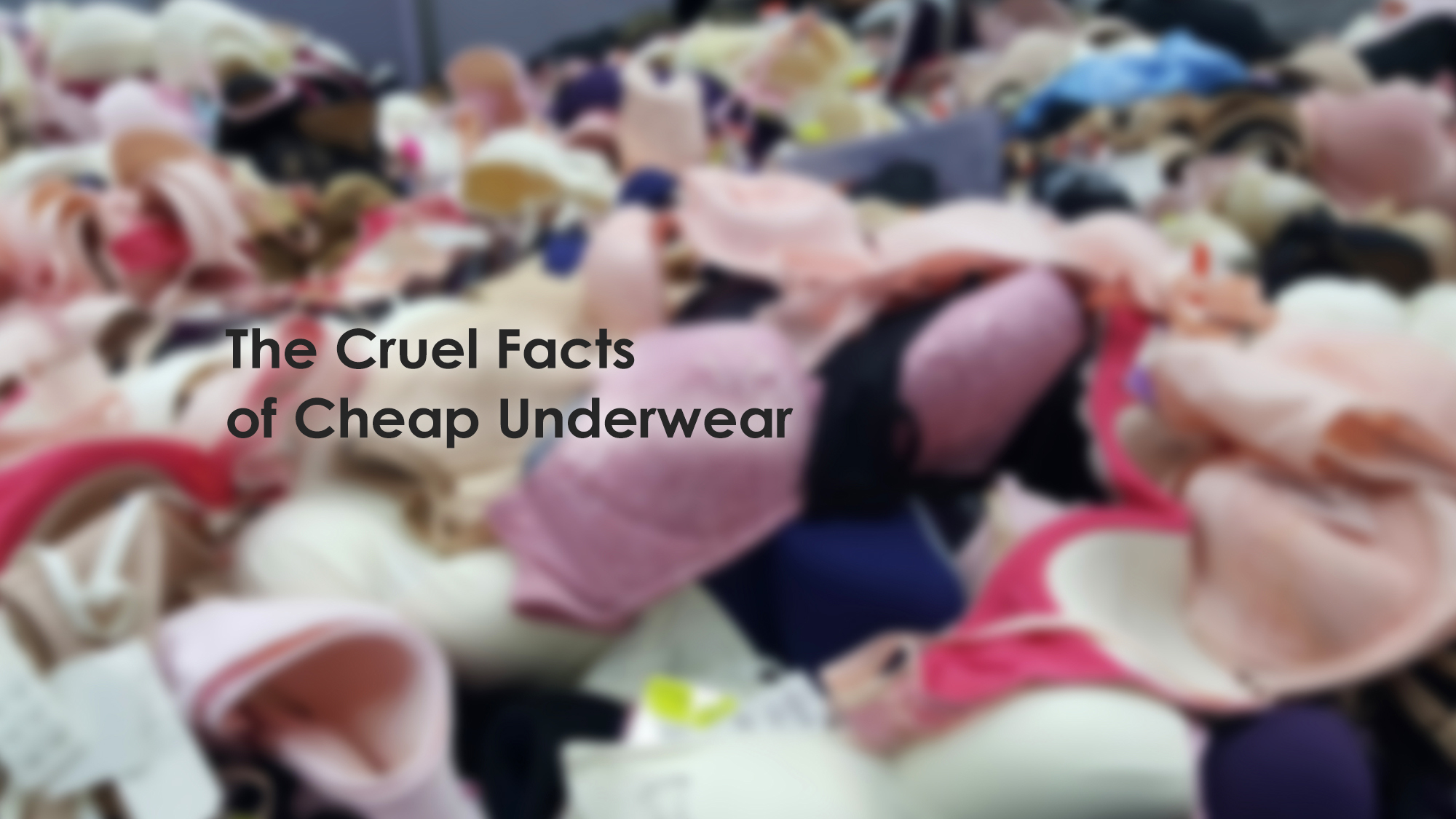 The Cruel Facts of Cheap Underwear