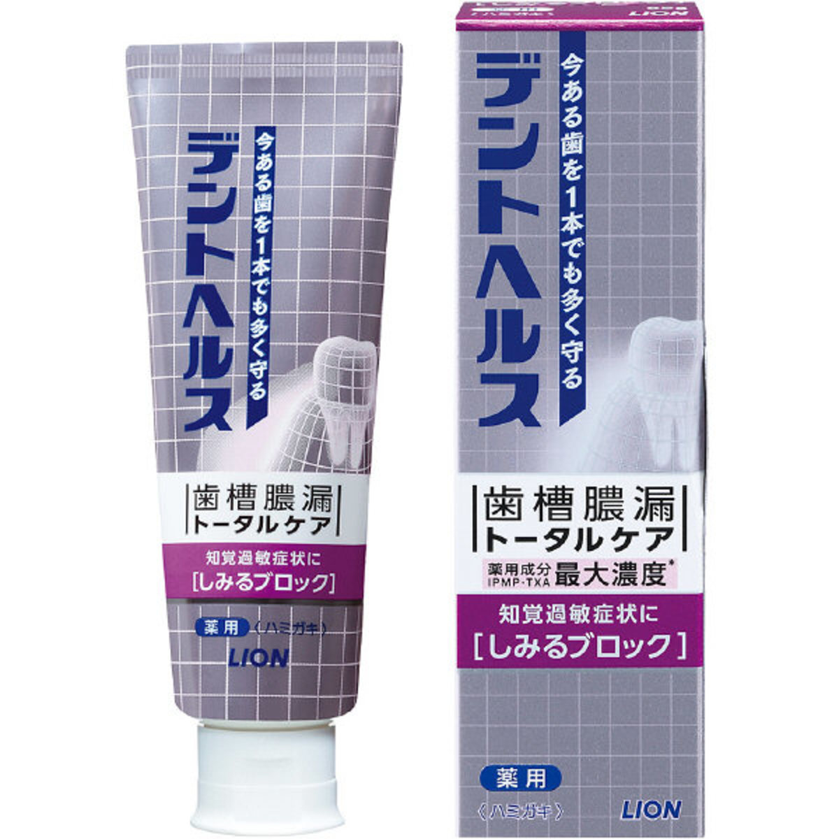 獅王 - Dent Health 防止酸軟藥用牙膏 85g (灰色)