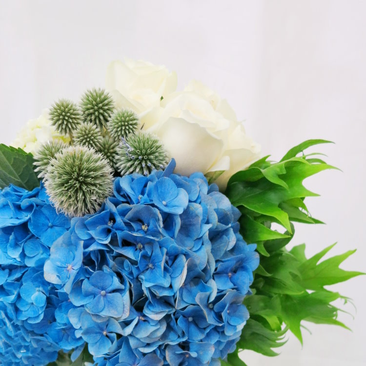 山風拂曉 I 瓶花  AV190251