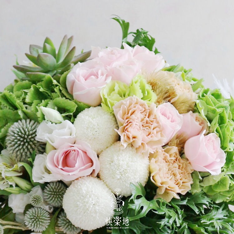 愉悅飛行  AV190400