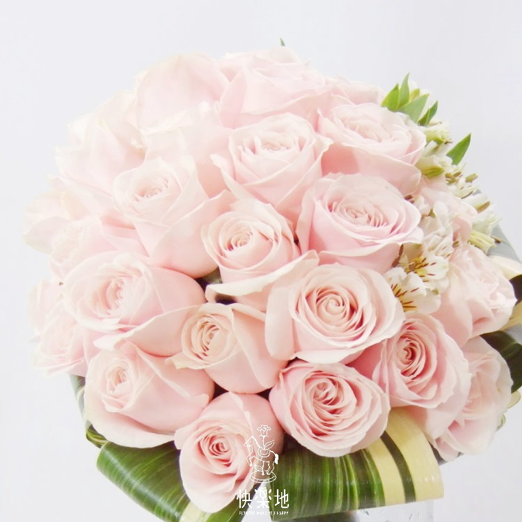 如歌的行板 I 瓶花   AV190300