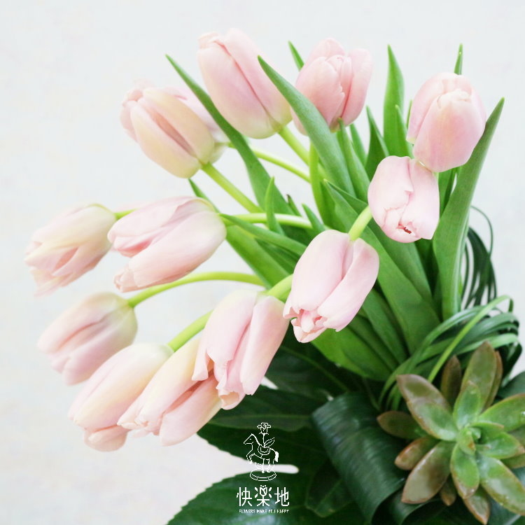 為你傾心唱歌 I 瓶花   AV190253