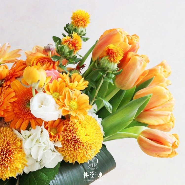 正能量滿分 I 瓶花   AV190253