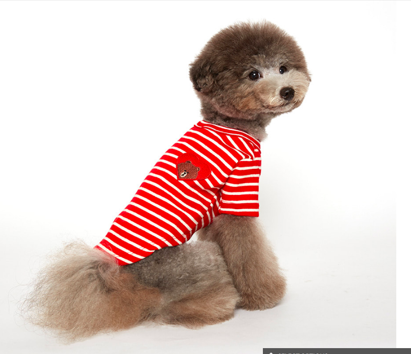 ✤ Odd Pet ✤ Line Friends 日系風格條紋衫 （熊大）