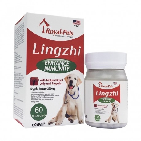 Royal Pets Dog Pure Lingzhi 60capsules
