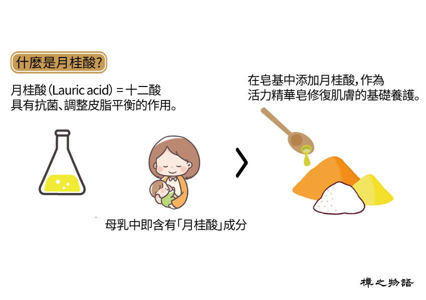 什麼是月桂酸？