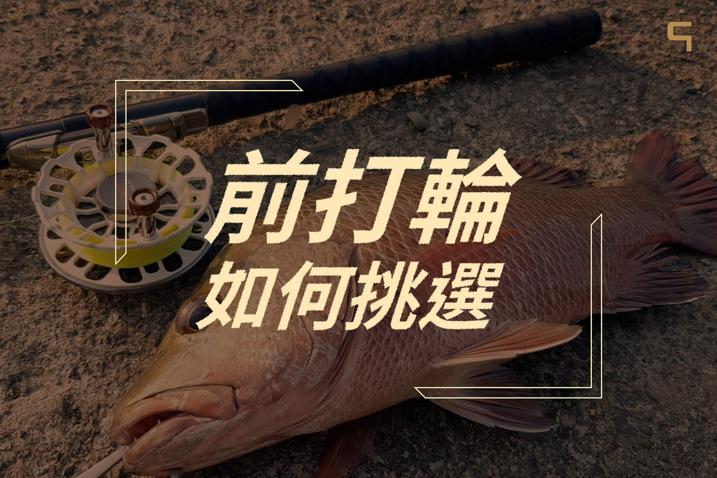 前打輪如何挑選