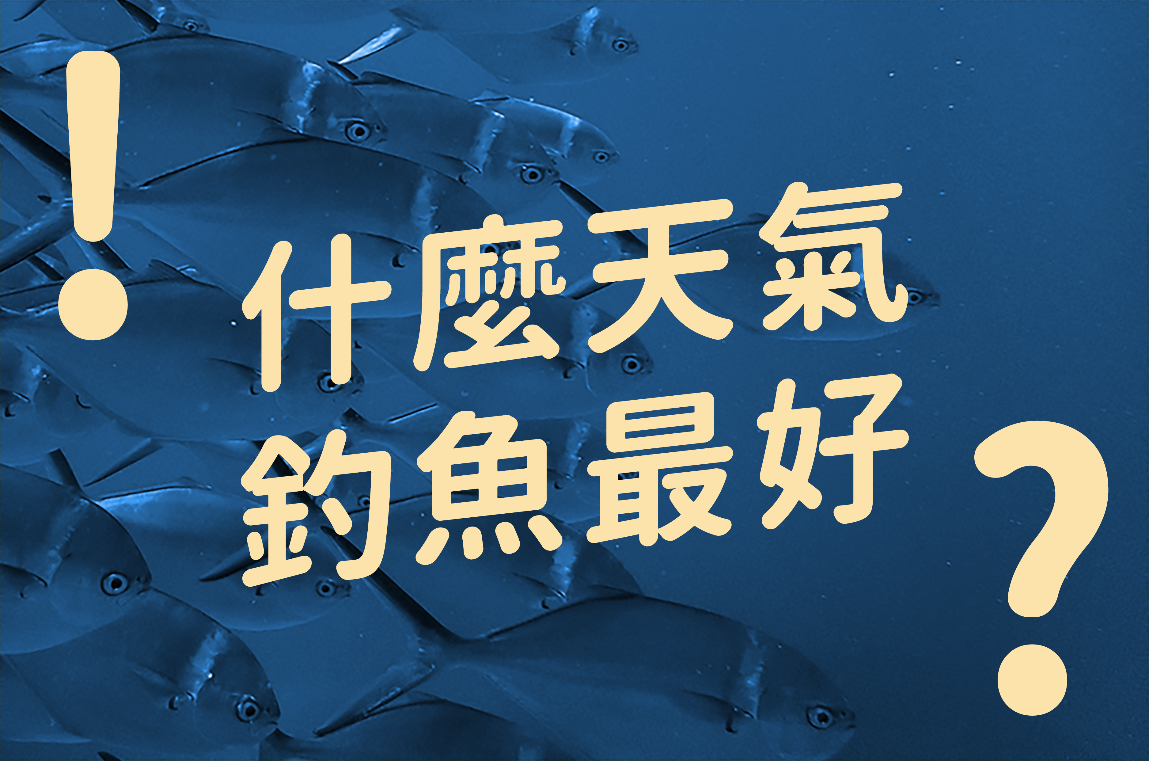 什麼天氣釣魚最好