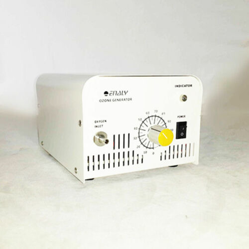 NEWTRY 1KNT-24 Ozone Generator for Air Purification