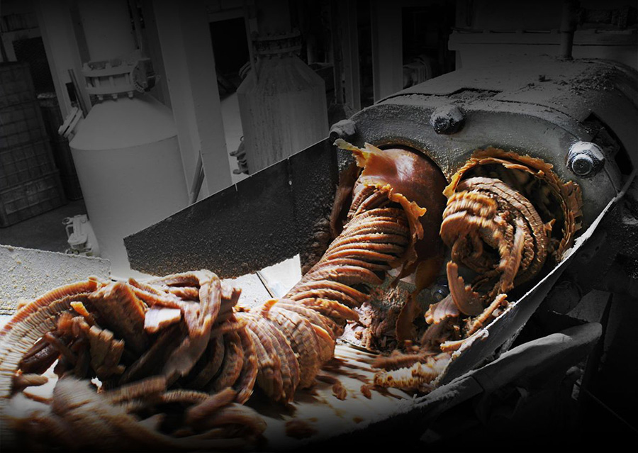 南僑集團跨世代新品牌「樟之物語」