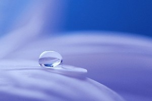 純露的第一堂課-芳香療法-晶荷