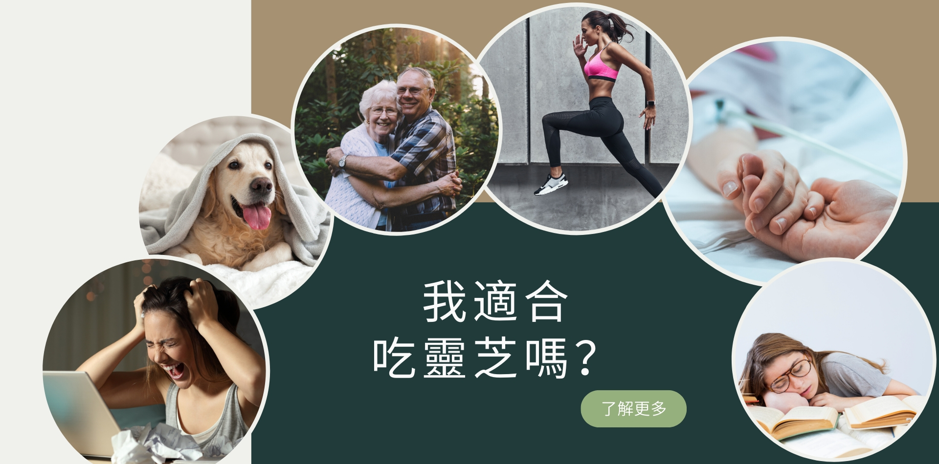 什麼樣的人可以吃靈芝