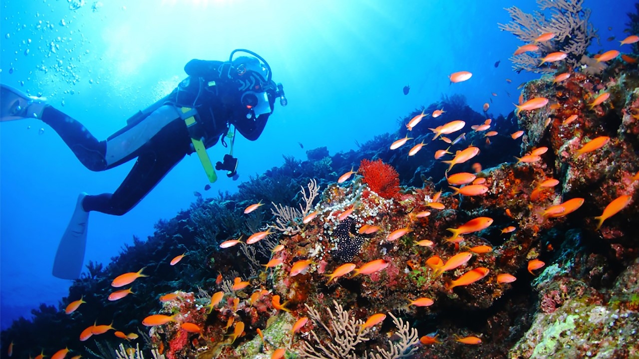 渡具知海灘潛水