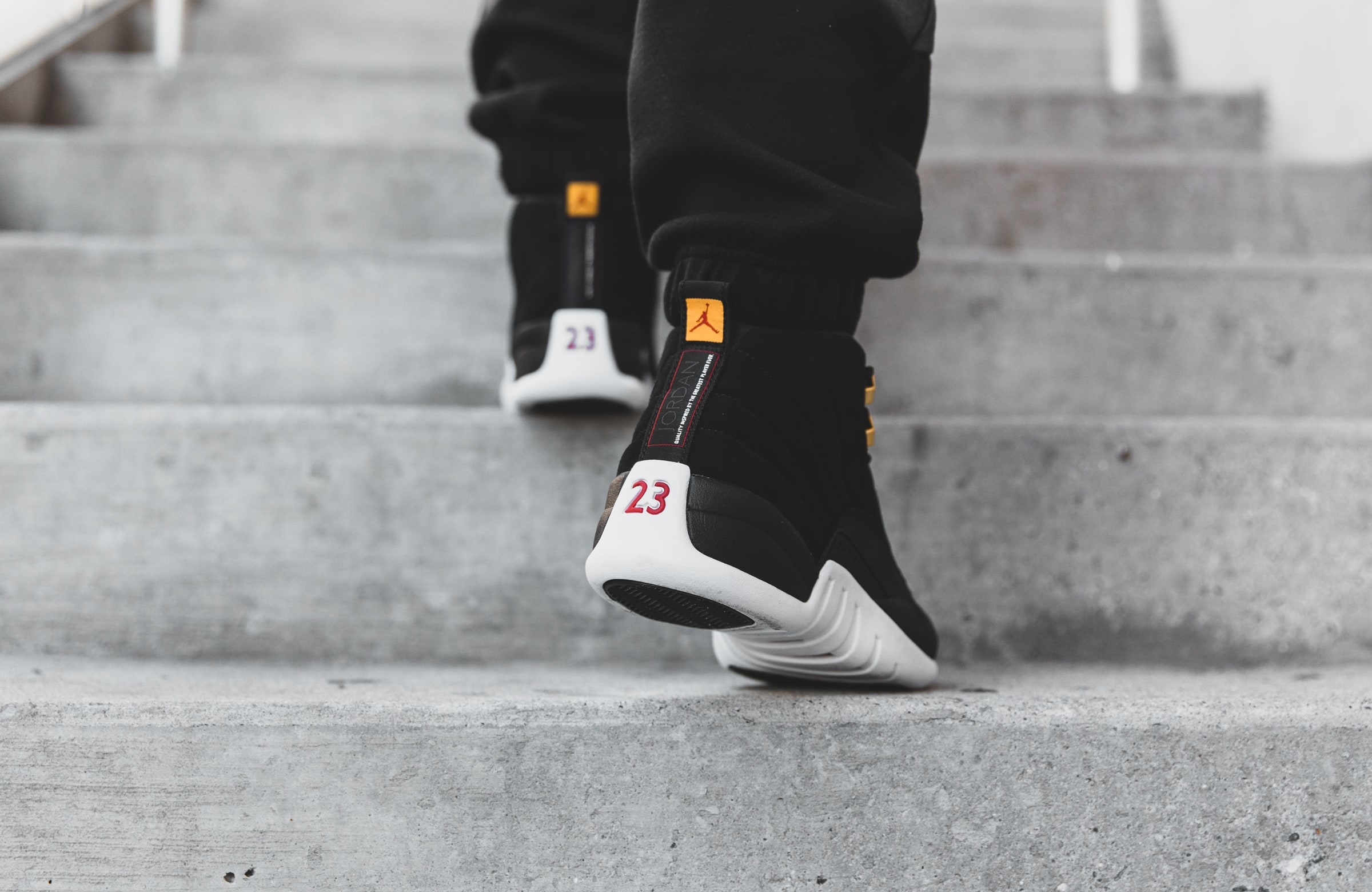 jordan retro 12 reverse taxi