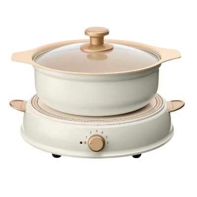 IRIS OHYAMA Ricopa IH 電磁爐 香港行貨 象牙白色