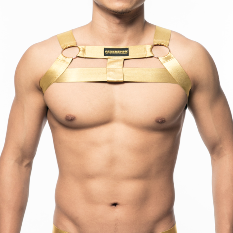 【賞金獵人】ATTENT!ON淘金者獵弓胸甲